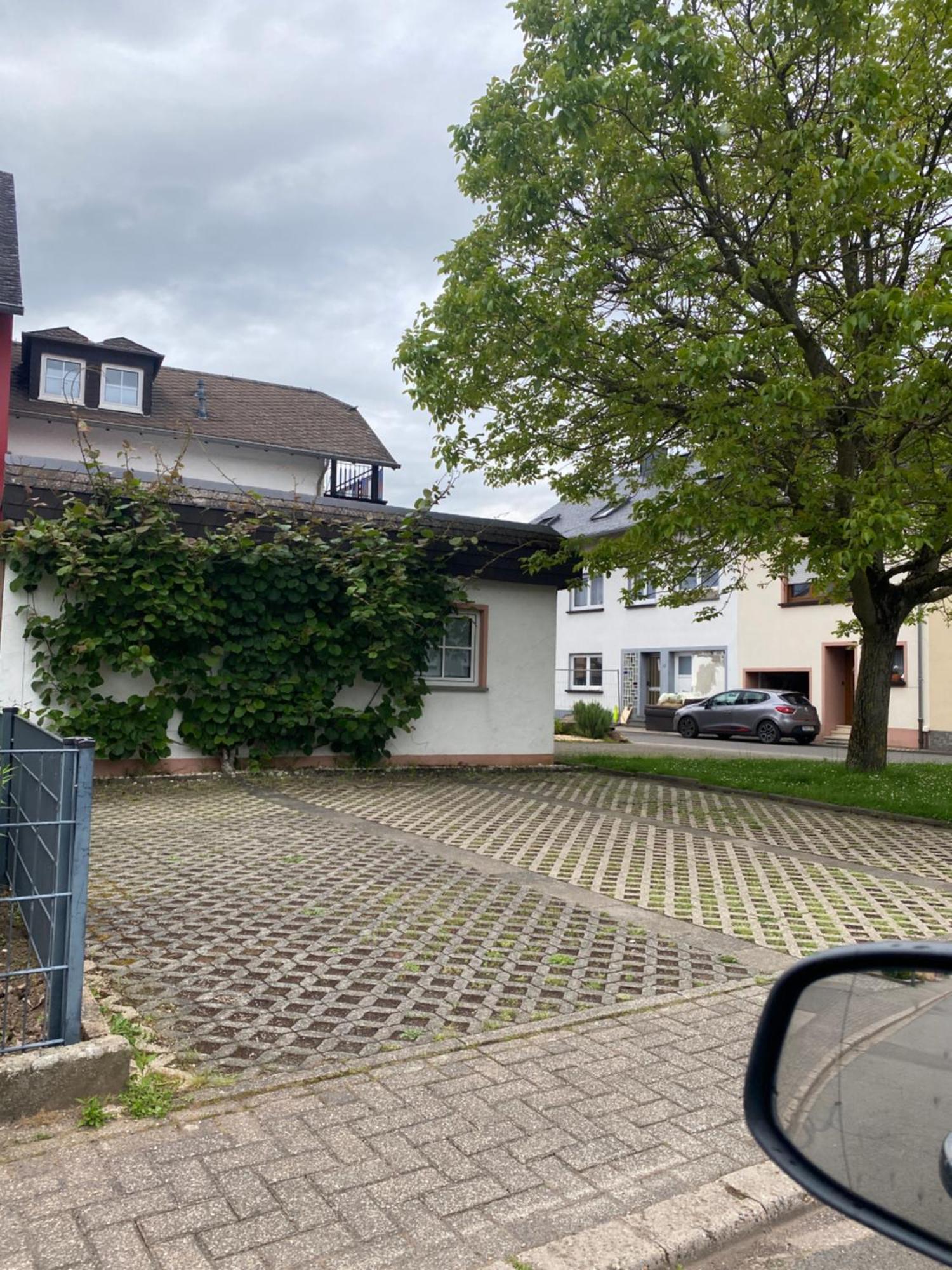Fewo-Zum-Nussbaum - Mosel 2 Schweich Eksteriør billede